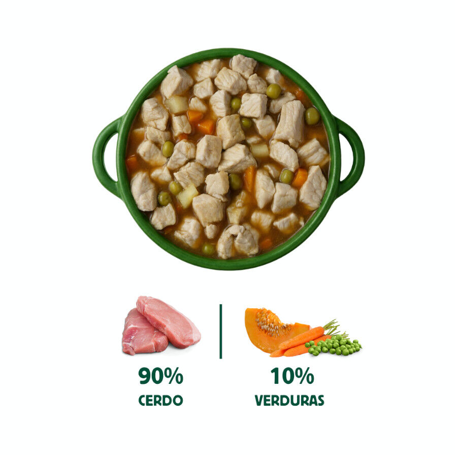 280 g Wild Balance ca&ccedil;arola caseira de porco e ab&oacute;bora para c&atilde;es, , large Imagem n&uacute;mero 2